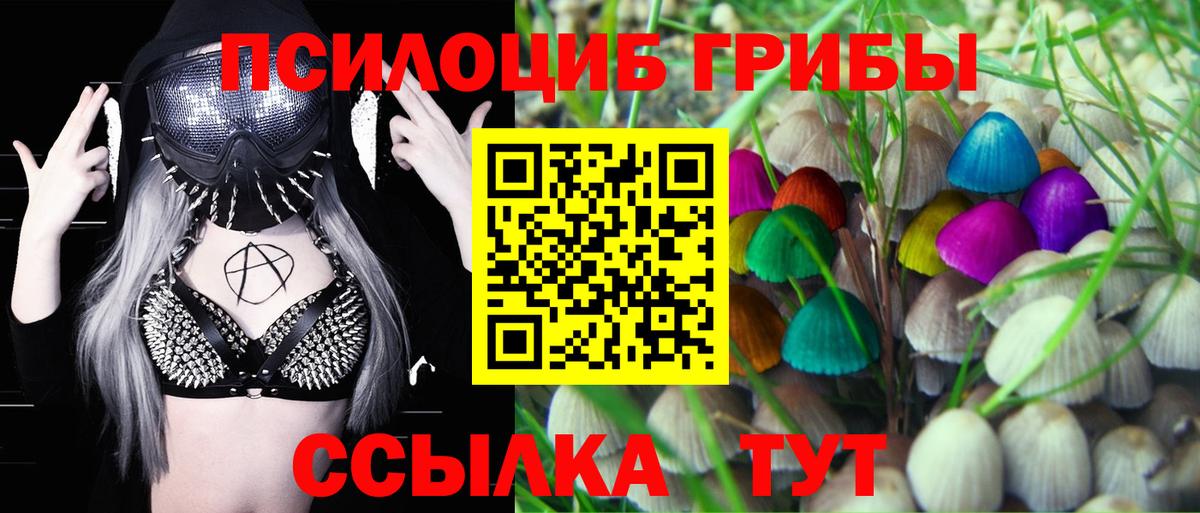 Салават  Псилоцибиновые грибы Cubensis  Вход с VPN 